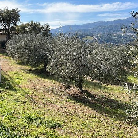 Agriturismo Vigna De' Luceri Loceri Exterior foto