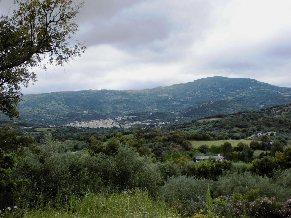 Agriturismo Vigna De' Luceri Loceri Exterior foto